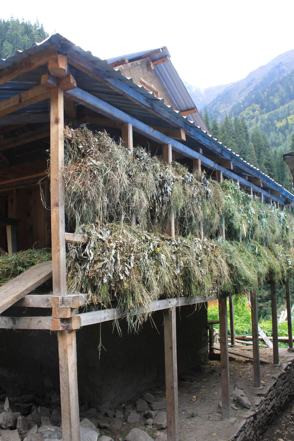 Photo of The Only Human Habitation In The Heart Of The Great Himalayan National Park: As Remote As It Can Get by Akanksha Siwach. Tales of The Hidden Trails