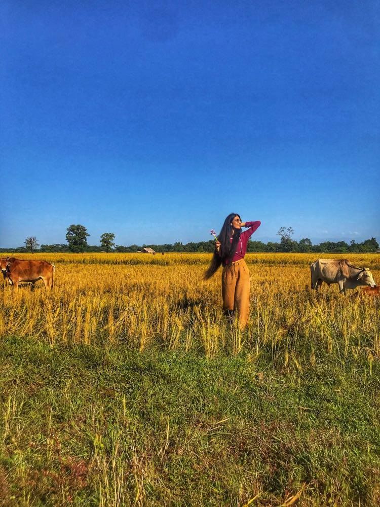 Photo of Sometimes Having No Plan Helps...This Is How We Landed At This Offbeat Paradise in Arunachal by Akanksha Siwach. Tales of The Hidden Trails