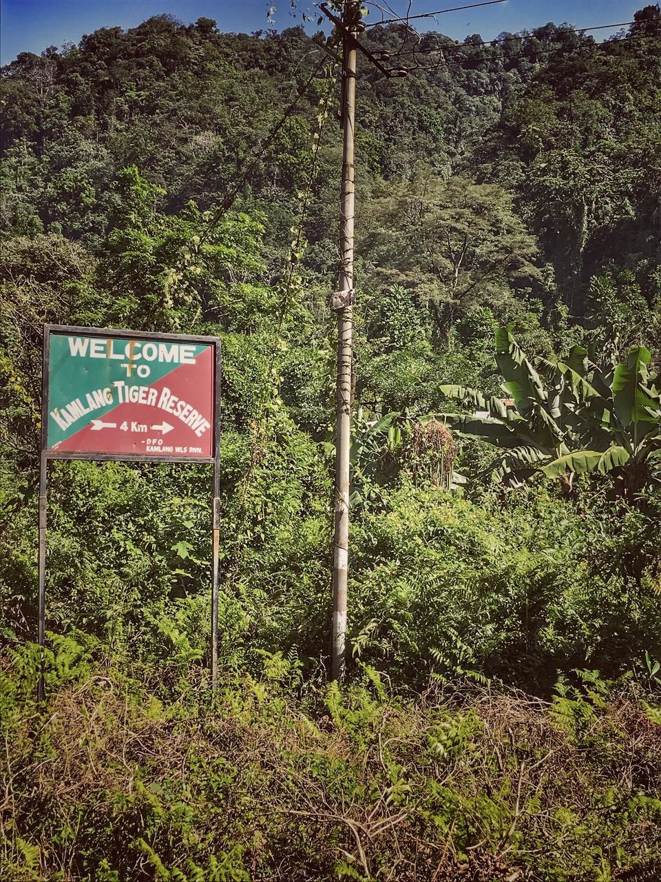Photo of Sometimes Having No Plan Helps...This Is How We Landed At This Offbeat Paradise in Arunachal by Akanksha Siwach. Tales of The Hidden Trails