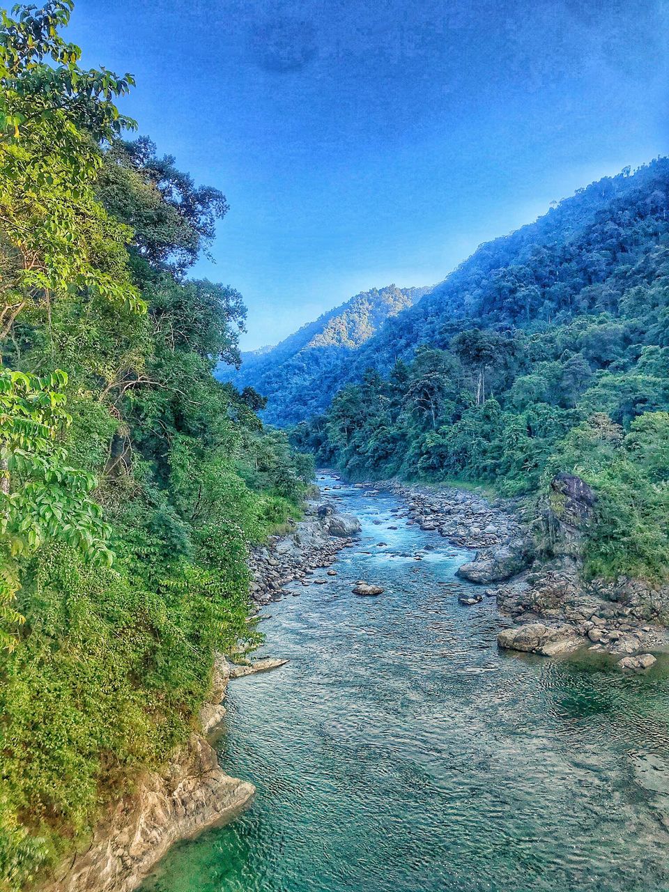 Photo of Sometimes Having No Plan Helps...This Is How We Landed At This Offbeat Paradise in Arunachal by Akanksha Siwach. Tales of The Hidden Trails