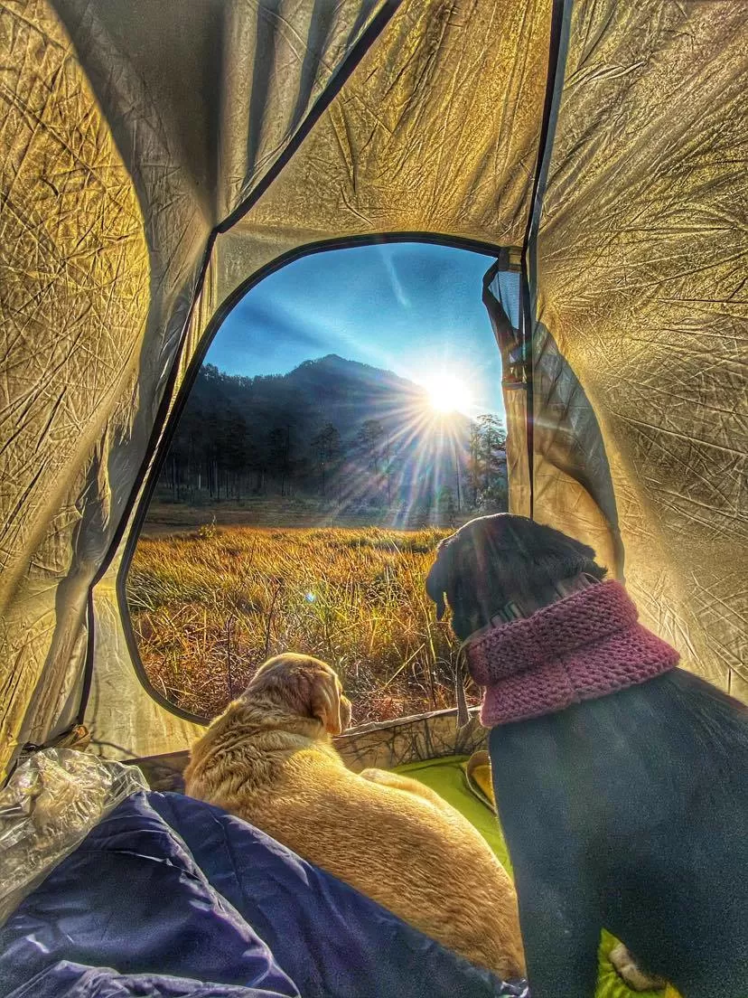 Photo of HIKING IN DONG VALLEY TO WITNESS THE FIRST SUNRISE OF INDIA by Akanksha Siwach. Tales of The Hidden Trails