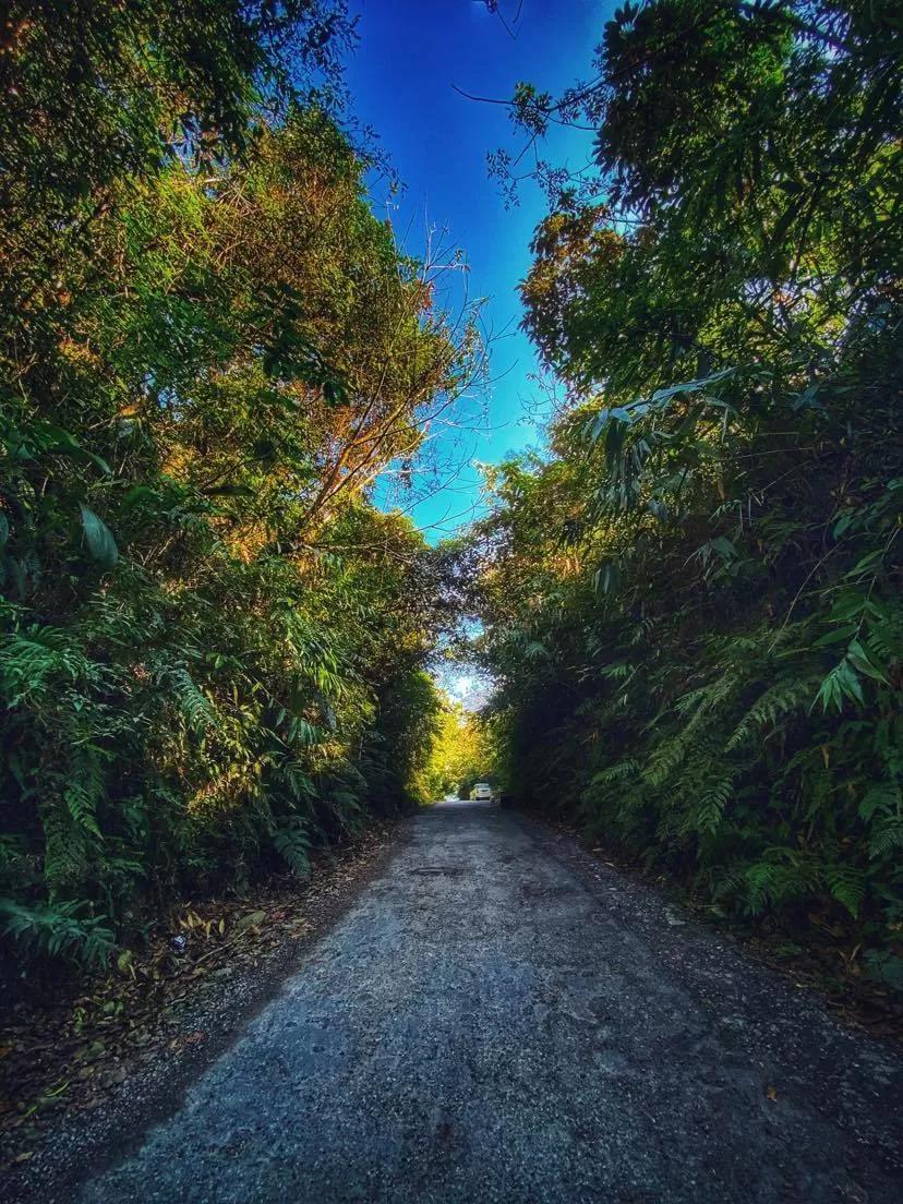 Photo of HIKING IN DONG VALLEY TO WITNESS THE FIRST SUNRISE OF INDIA by Akanksha Siwach. Tales of The Hidden Trails