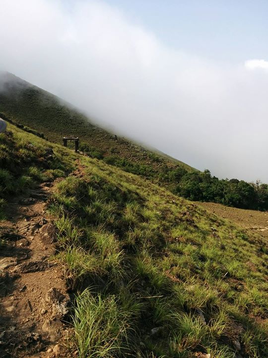 Photo of How we walked from Kukke Subramanya to Coorg by Sumanth Nagaraja