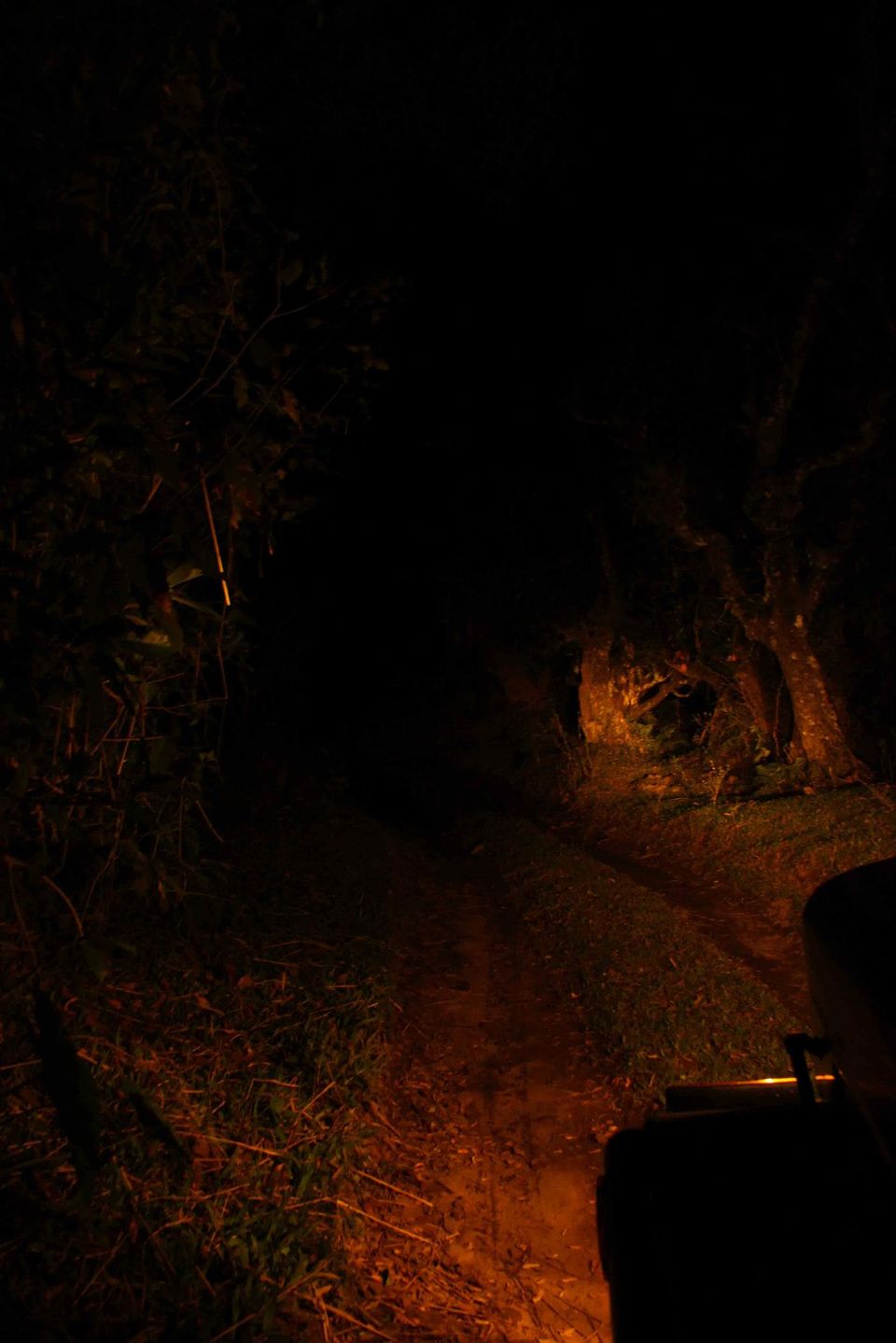 Photo of Ride to Wayanad 10/12 by Sumanth Nagaraja