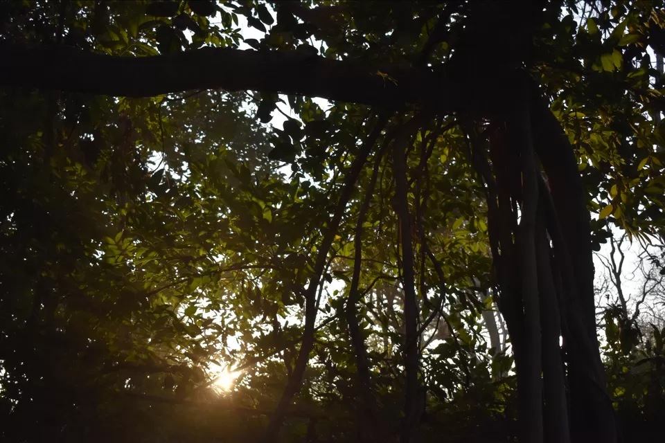 Photo of Jaipur by Anik Patni