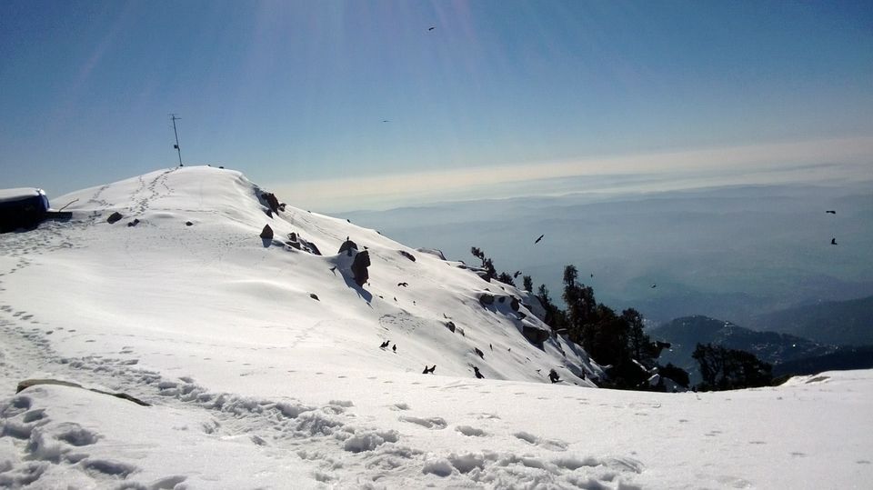 Photo of Triund Winter Trek 4/7 by Krishna Mohan