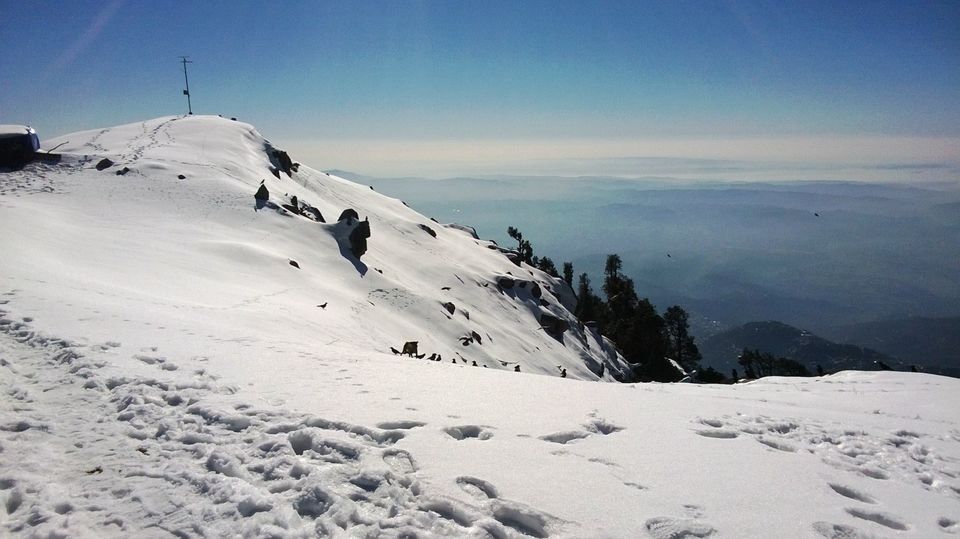 Photo of Triund Winter Trek 5/7 by Krishna Mohan
