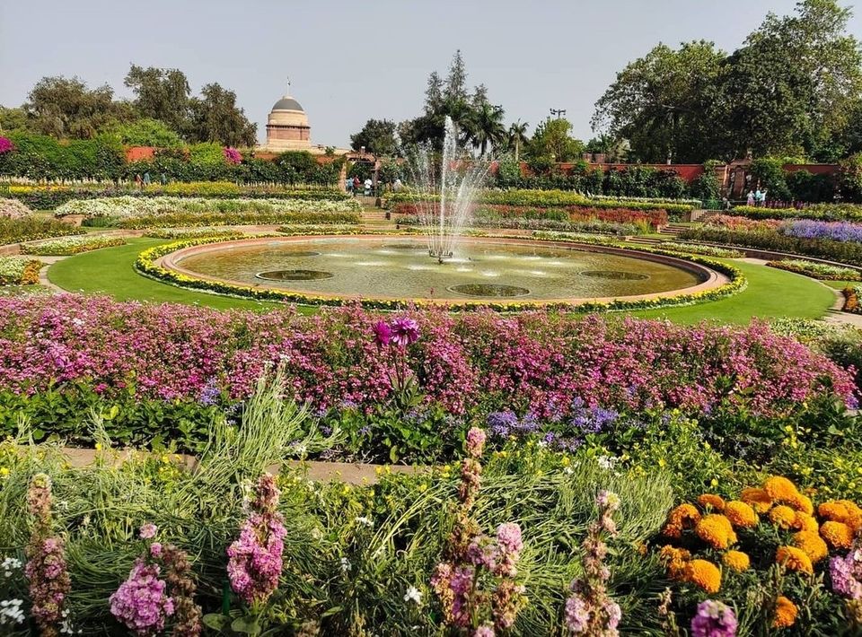 Photo of अमृत उद्यान ( राष्ट्रपति भवन ) –आम जन के लिए खुल रहा है देश और दिल्ली का सबसे खूबसूरत उद्यान। by KAPIL PANDIT