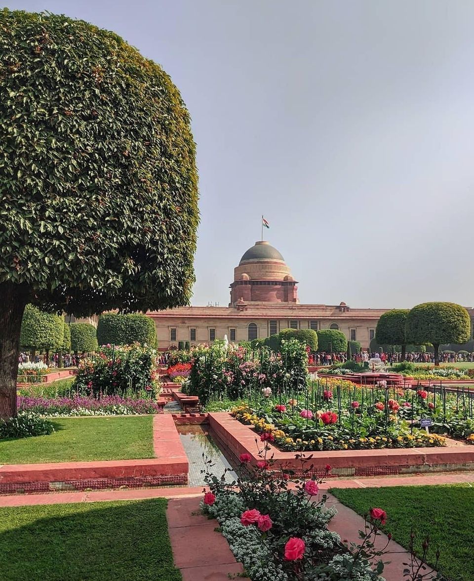 Photo of अमृत उद्यान ( राष्ट्रपति भवन ) –आम जन के लिए खुल रहा है देश और दिल्ली का सबसे खूबसूरत उद्यान। by KAPIL PANDIT