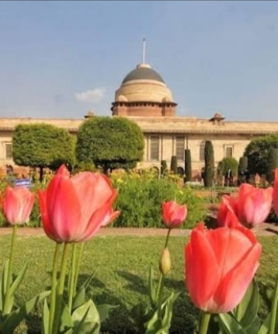 Photo of अमृत उद्यान ( राष्ट्रपति भवन ) –आम जन के लिए खुल रहा है देश और दिल्ली का सबसे खूबसूरत उद्यान। by KAPIL PANDIT