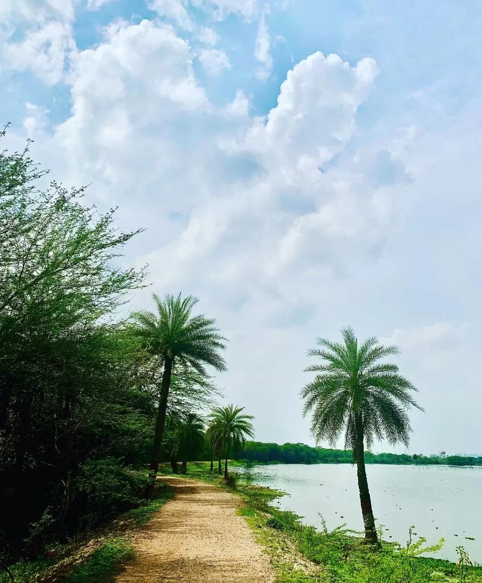 Photo of Surajpur Bird Sanctuary by KAPIL PANDIT