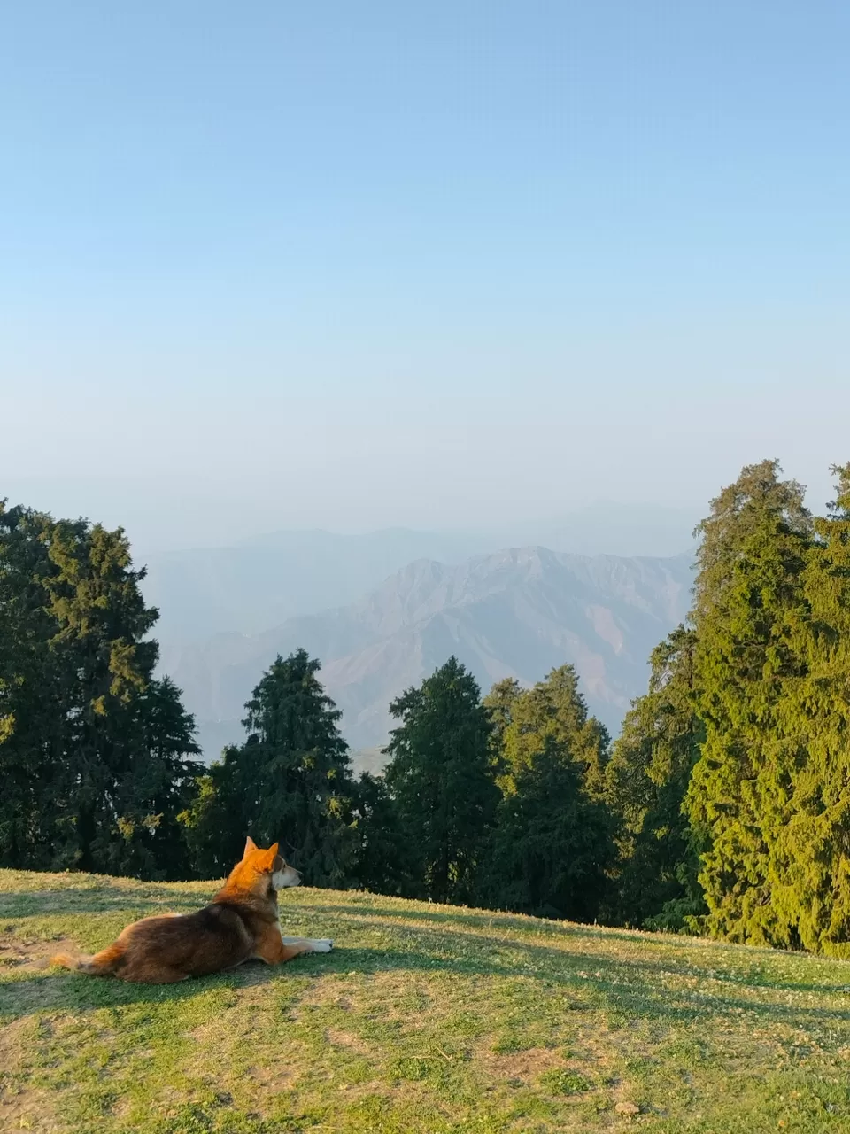 Photo of चकराता (हिल स्टेशन) दर्शन मेरी नज़र से । by KAPIL PANDIT 