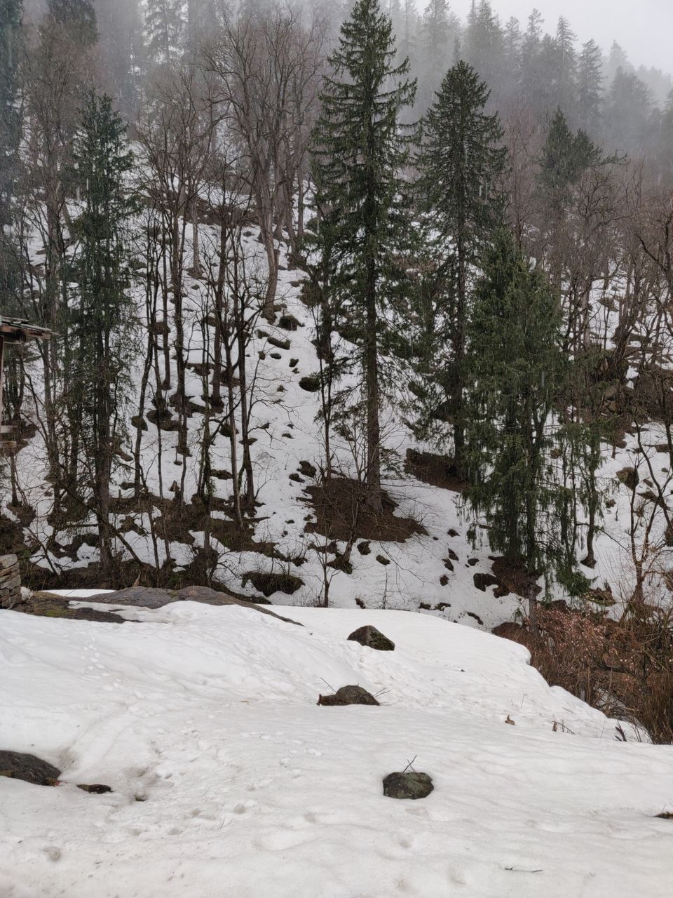 Photo of Kheerganga - Sunshine Himalayan Camp, Khir Ganga, Himachal Pradesh, India by MAYANK SHARMA