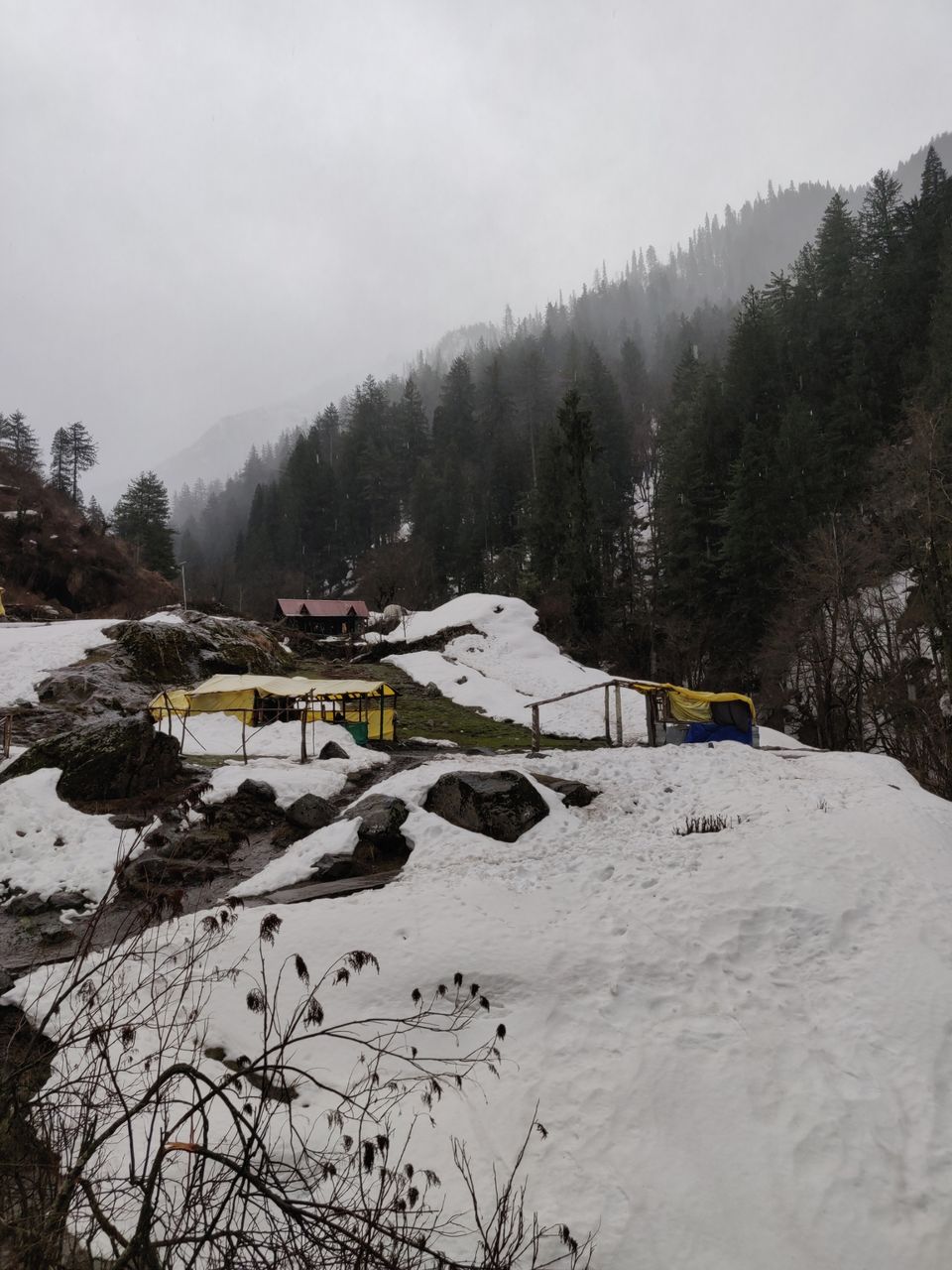 Photo of Kheerganga - Sunshine Himalayan Camp, Khir Ganga, Himachal Pradesh, India by MAYANK SHARMA