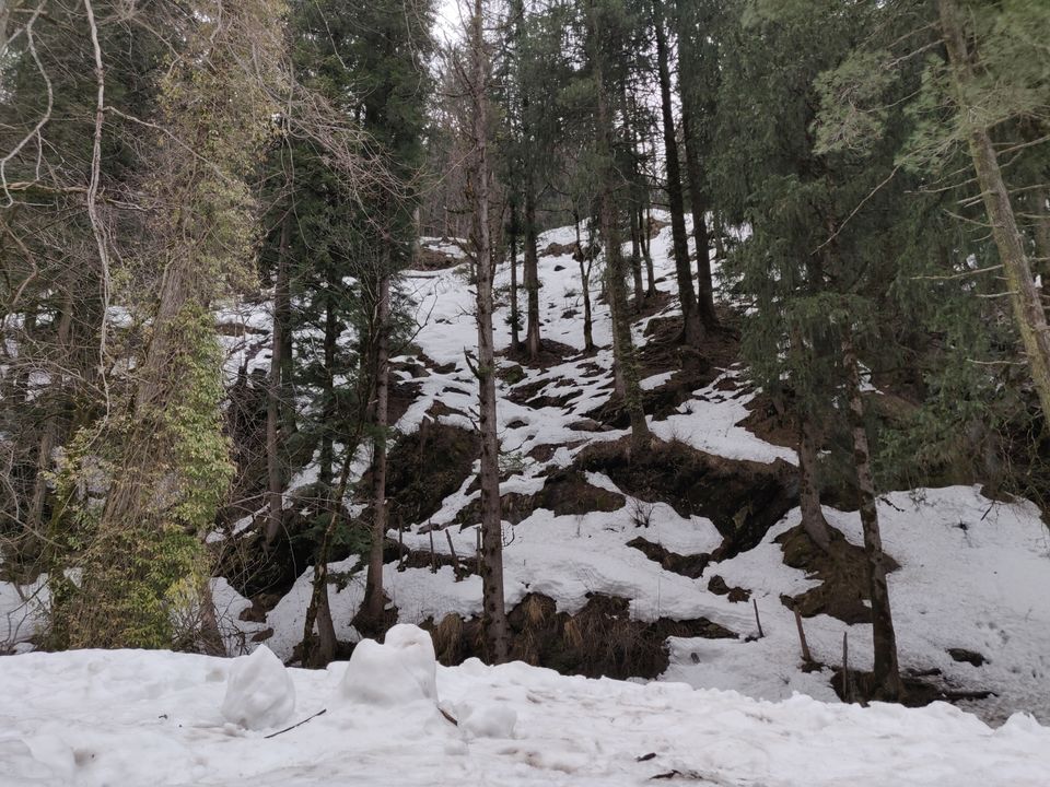Photo of Kheerganga - Sunshine Himalayan Camp, Khir Ganga, Himachal Pradesh, India by MAYANK SHARMA