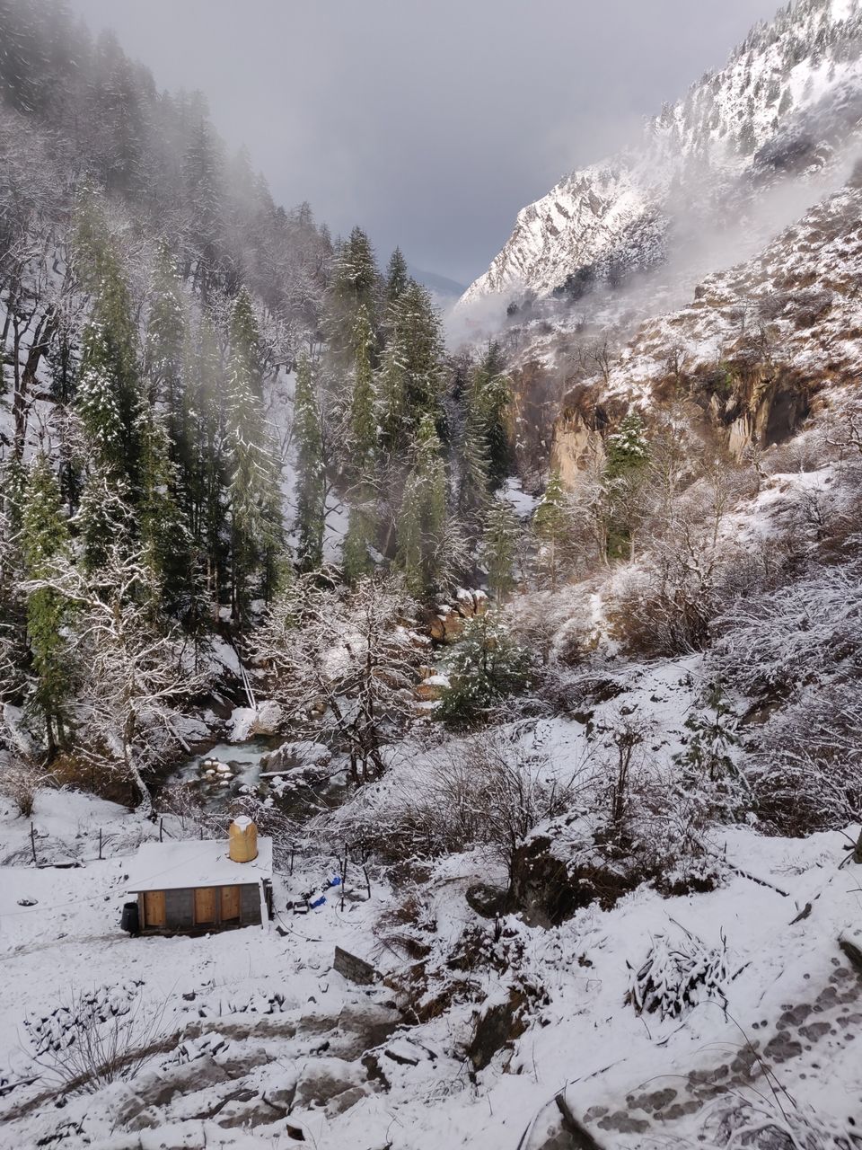 Photo of Kheerganga - Sunshine Himalayan Camp, Khir Ganga, Himachal Pradesh, India by MAYANK SHARMA