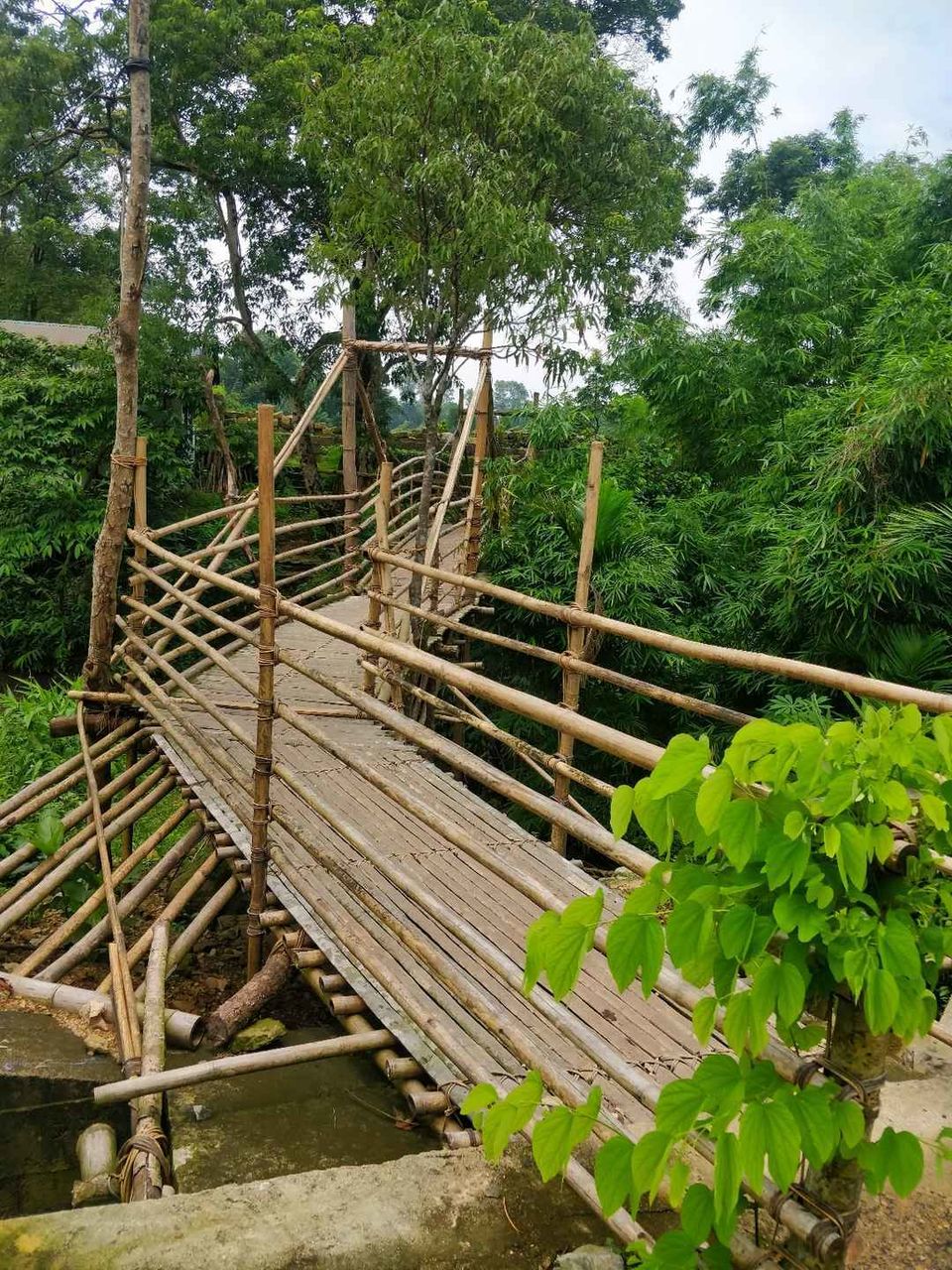 Photo of Thadlaskein Lake, Mukhla, Meghalaya, India by Thejaswini ChandreGowda