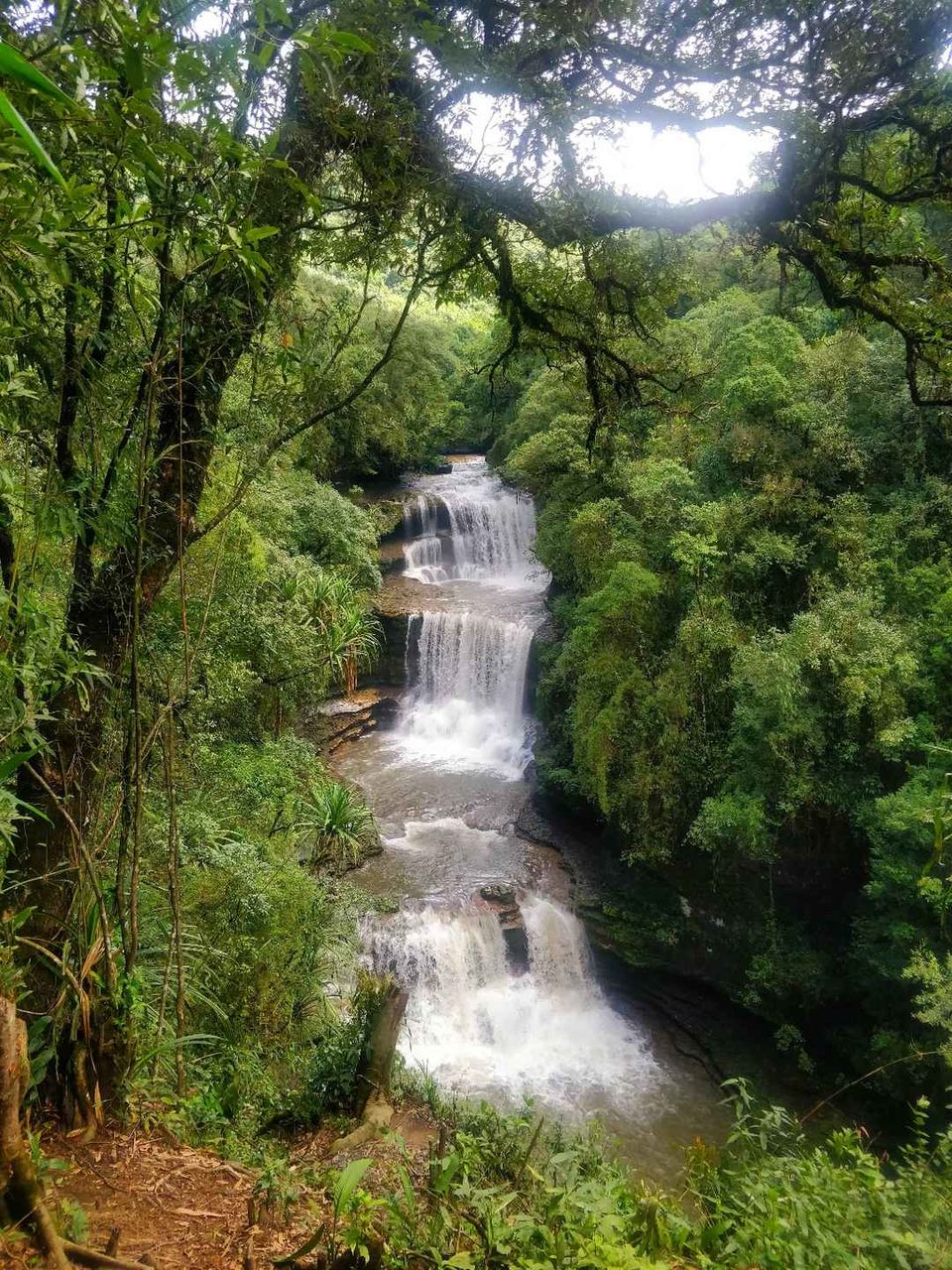 Photo of Shillong, Meghalaya, India by Thejaswini ChandreGowda