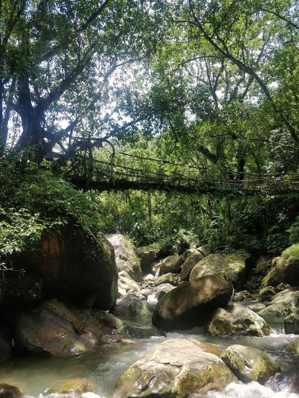 Photo of Shillong, Meghalaya, India by Thejaswini ChandreGowda