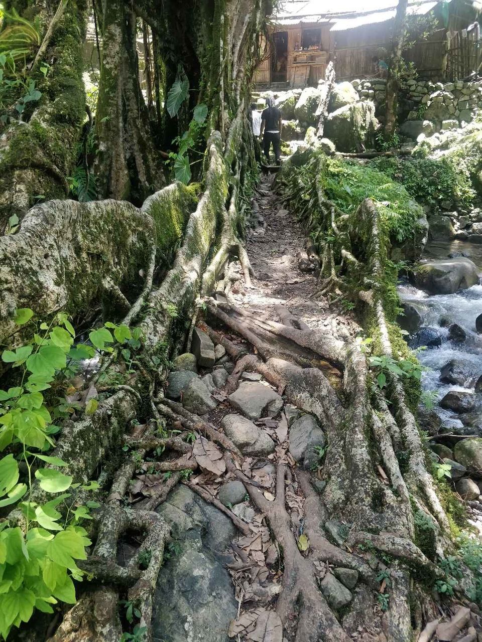 Photo of Shillong, Meghalaya, India by Thejaswini ChandreGowda