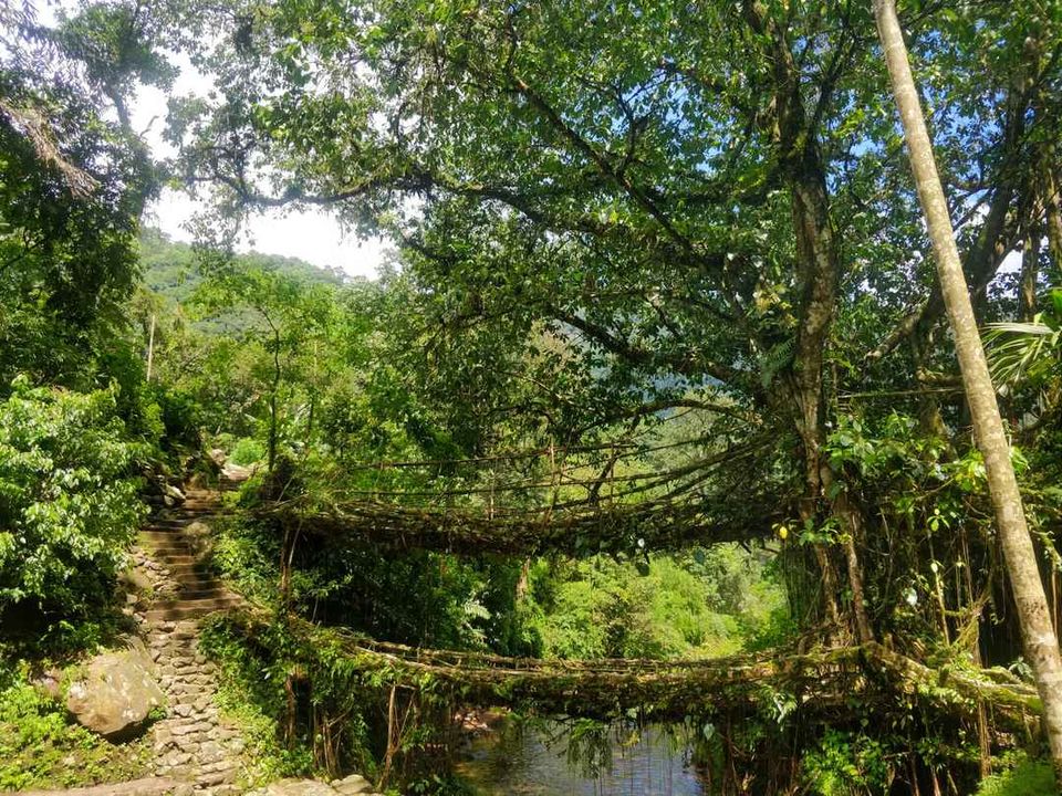 Photo of Shillong, Meghalaya, India by Thejaswini ChandreGowda