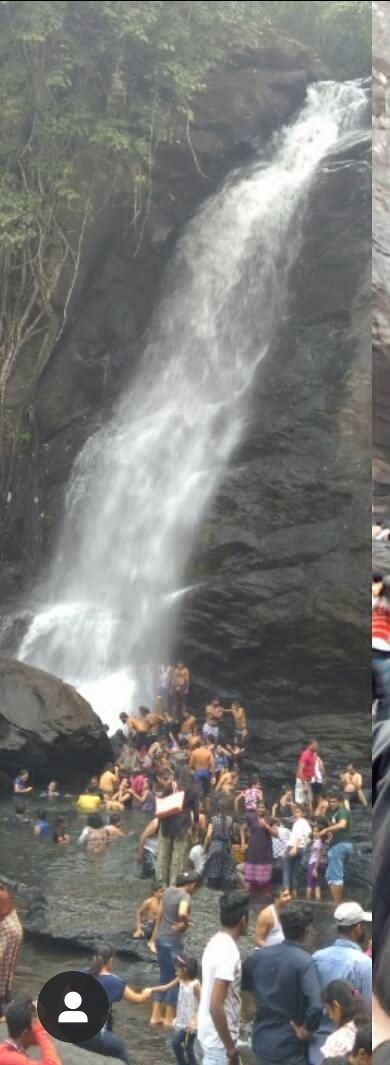 Photo of Wayanad, Kerala, India by Thejaswini ChandreGowda