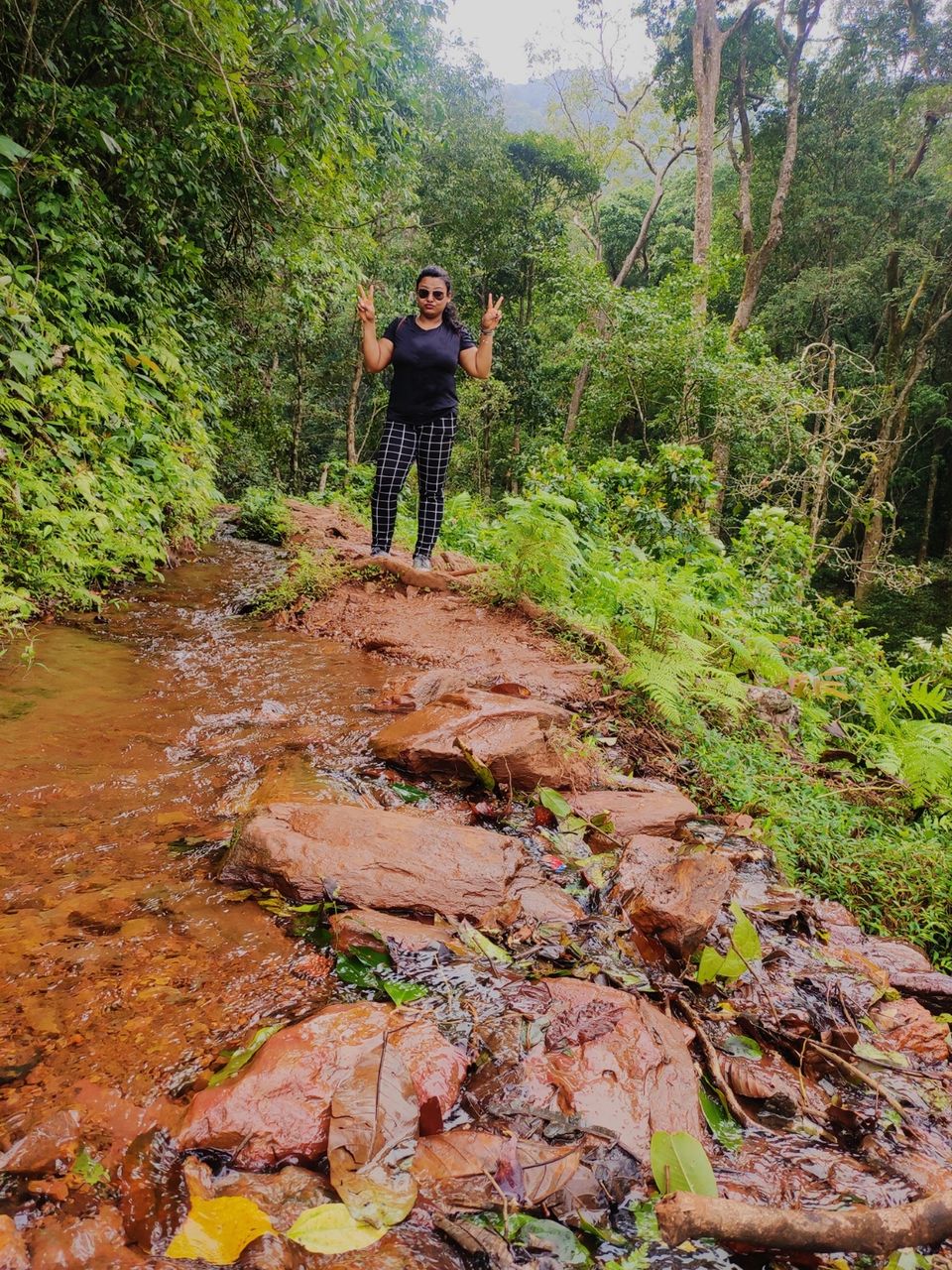 kodachadri trek leeches