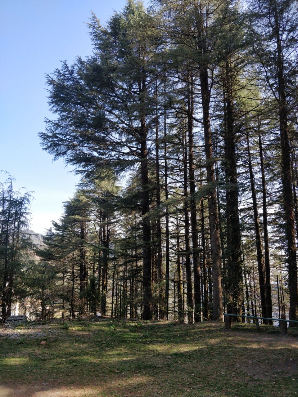 Photo of Mussoorie, Uttarakhand, India by Thejaswini ChandreGowda