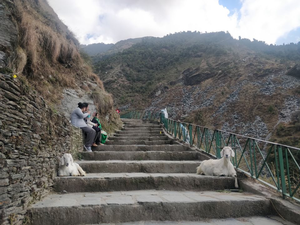 Photo of Dharamshala, Himachal Pradesh, India by Thejaswini ChandreGowda