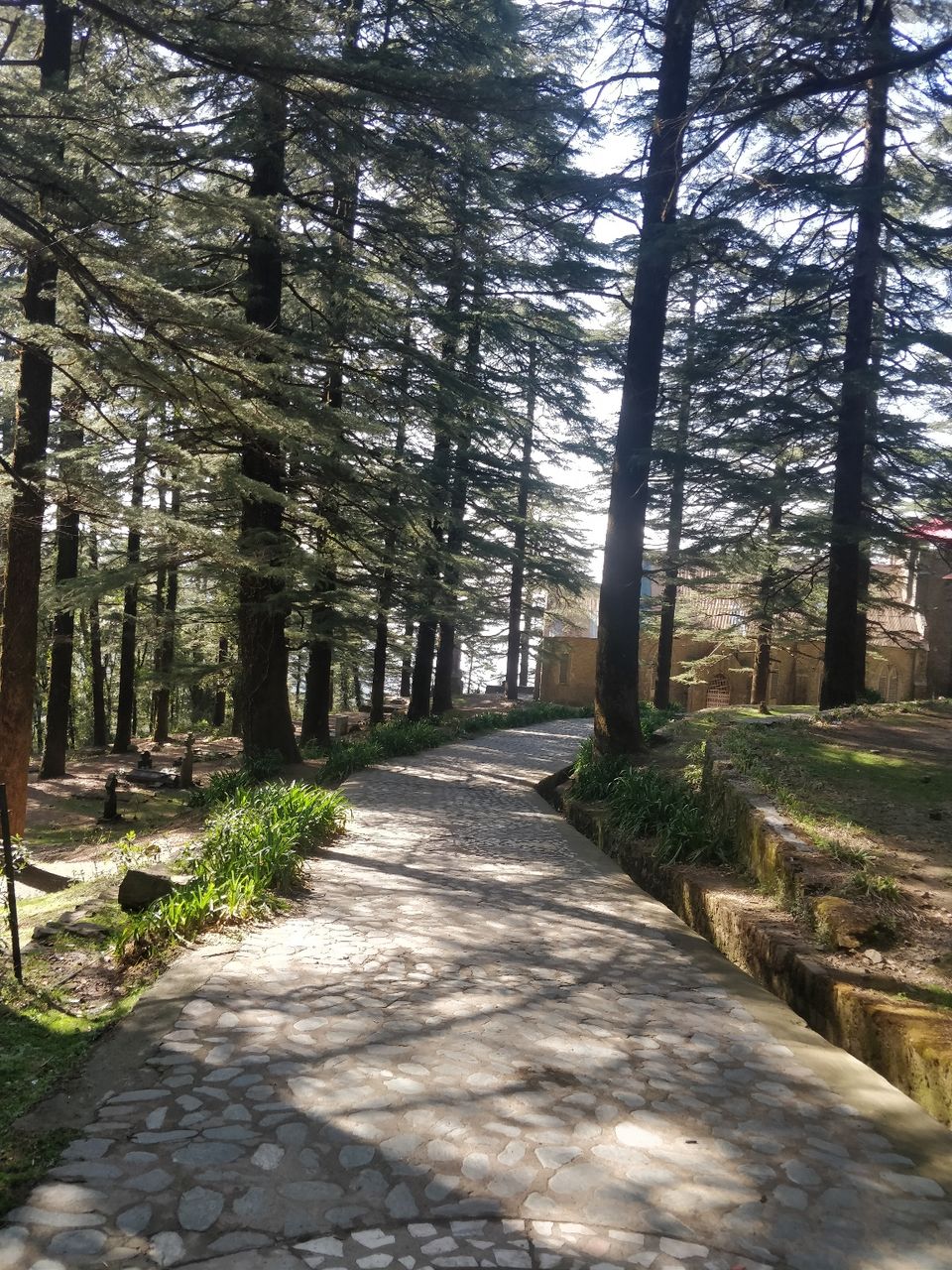 Photo of Dharamshala, Himachal Pradesh, India by Thejaswini ChandreGowda