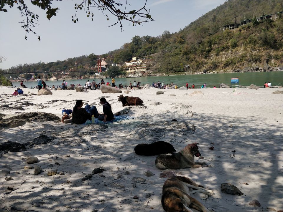 Photo of Haridwar, Uttarakhand, India by Thejaswini ChandreGowda