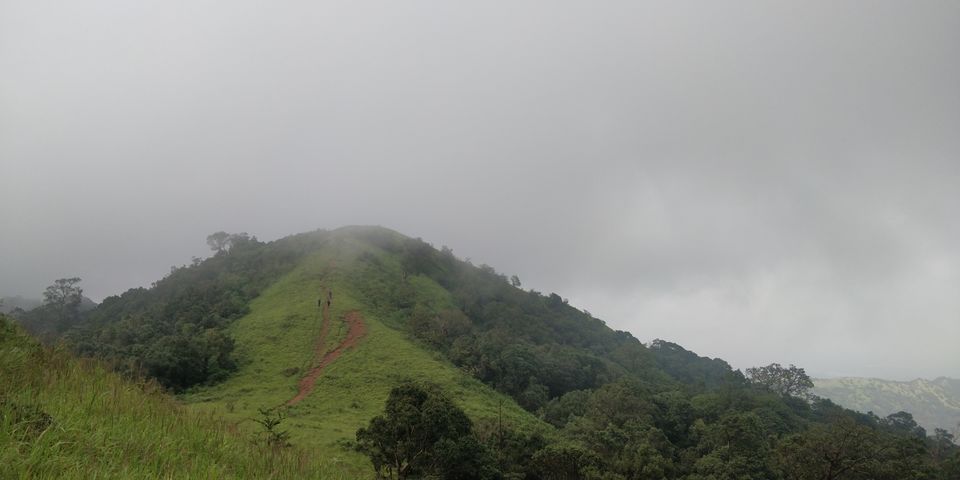 kodachadri trek leeches