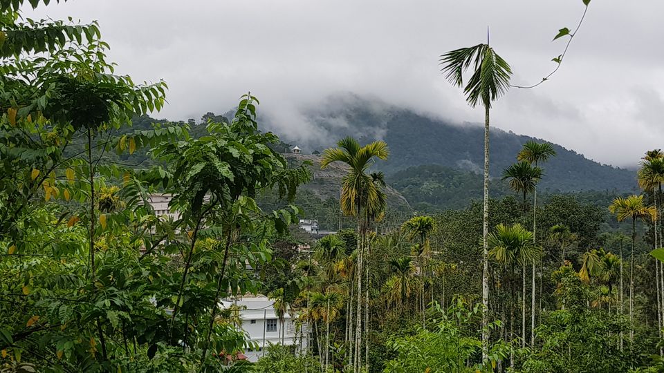Photo of Wayanad, Kerala, India by Kanav Gulati