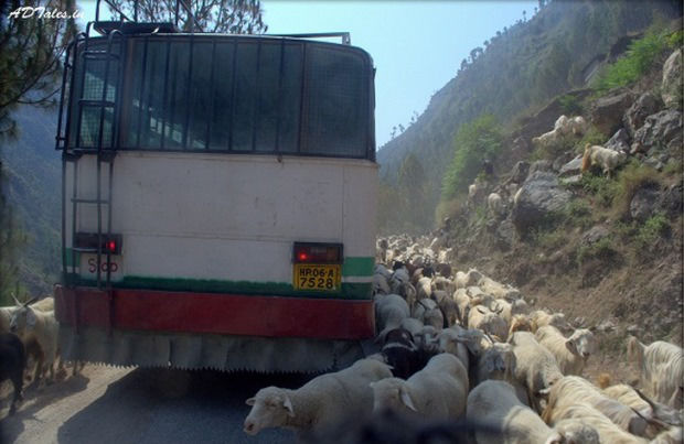 Photo of Pictures That Prove Bus Drivers Of Himachal Pradesh Are The Best In India 4/42 by Neeraj Dhiman