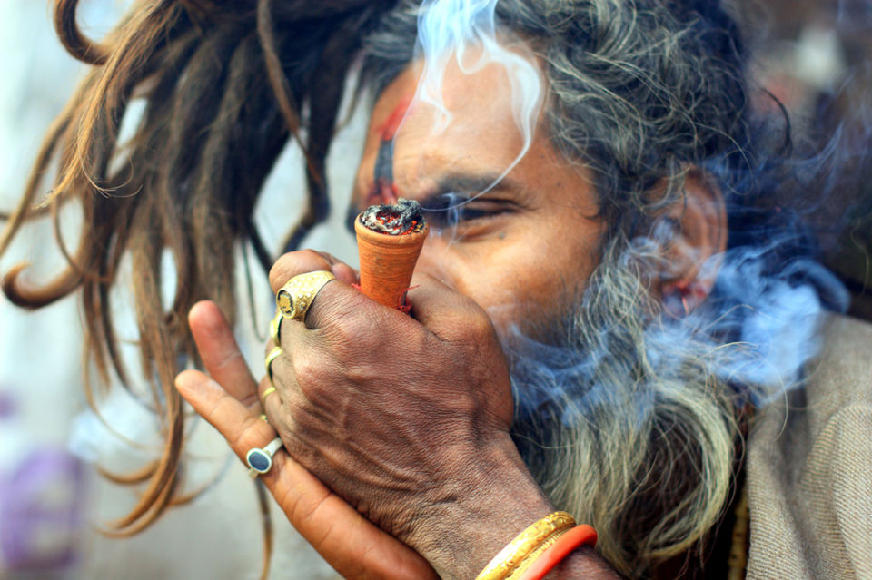 Photo of Malana Cream – The World’s Best Hashish 4/4 by Neeraj Dhiman