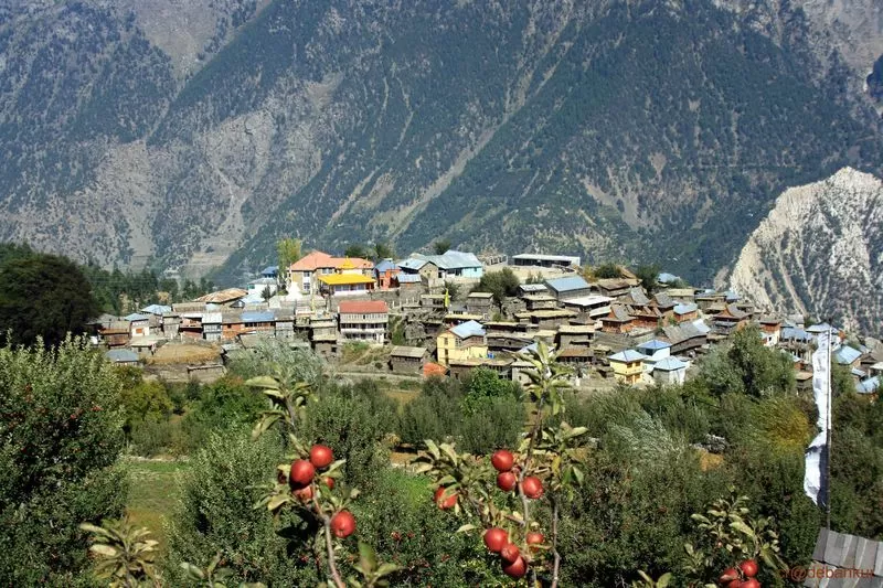 Photo of Kalpa, Reckong Peo, Himachal Pradesh, India by Neeraj Dhiman
