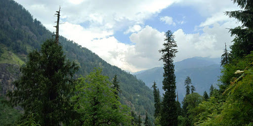 Photo of Manali Wildlife Sanctuary | Himachal Pradesh 1/1 by Neeraj Dhiman