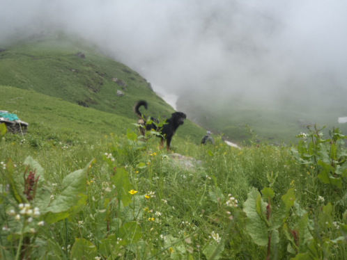 Photo of Shrikhand Mahadev Yatra – India’s Toughest Pilgrimage 10/23 by Neeraj Dhiman