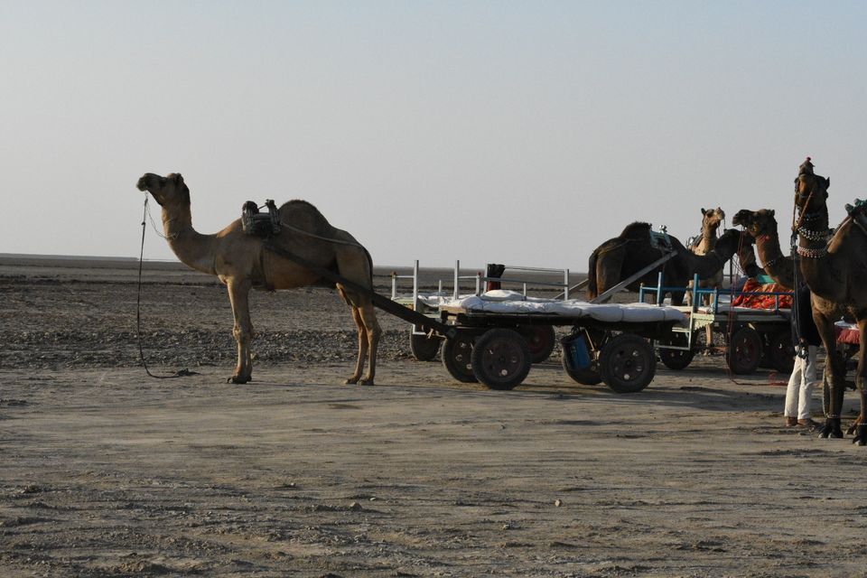 Photo of Rann Utsav - The Tent City by Nishtha Nath