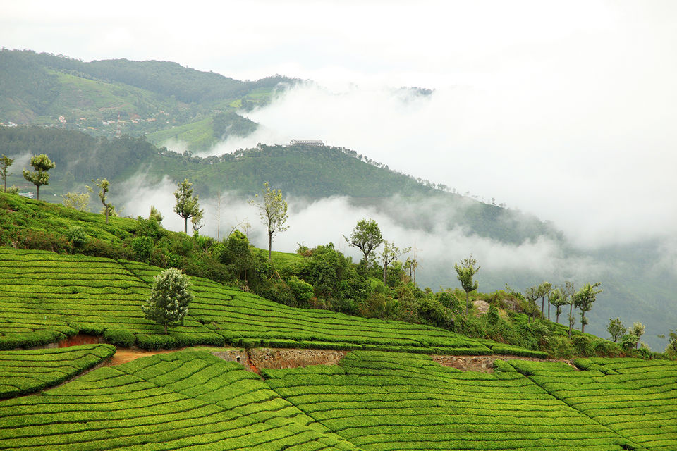 Photo of Coonoor, Tamil Nadu, India by Nishtha Nath