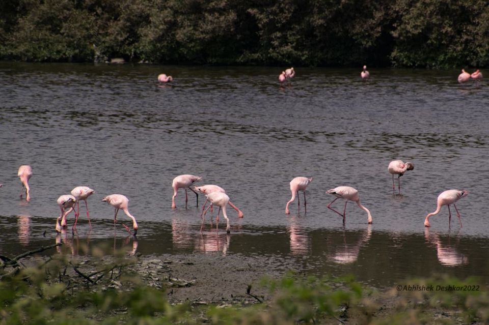 Photo of Road Tripping for 10 days to Offbeat Locations of Gujarat by Nishtha Nath