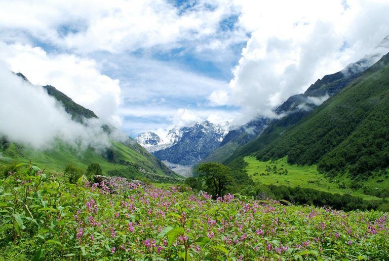 Photo of Valley of Flowers National Park, Uttarakhand, India by Nishtha Nath