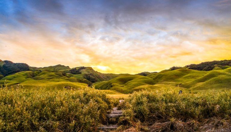 Photo of Dzuko Valley Trail, Nagaland, India by Nishtha Nath