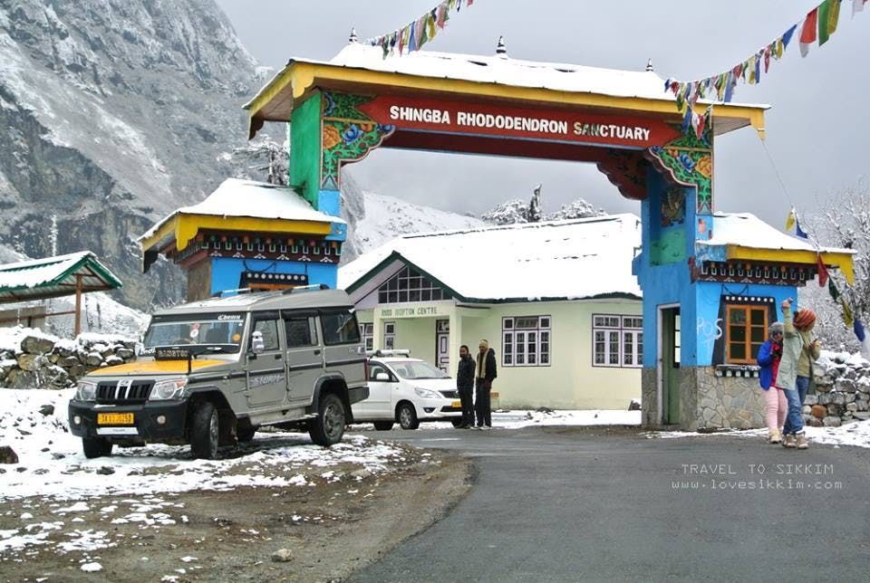 Photo of Shingba Rhododendron Sanctuary, Sikkim, India by Nishtha Nath