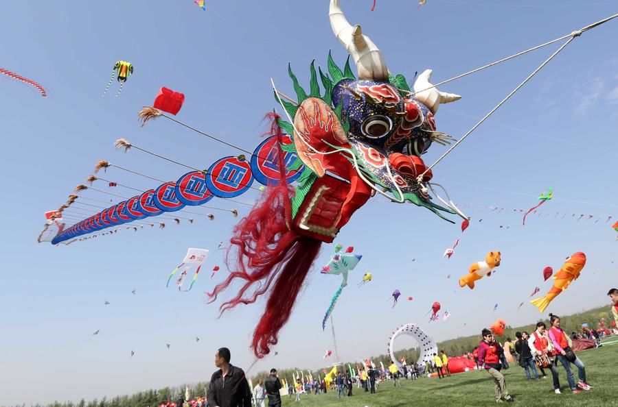 Photo of Tamil Nadu is All Set to Host it's First International Kite Festival. by Nishtha Nath
