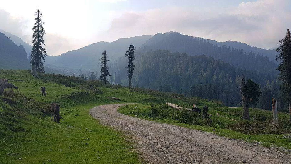 Photo of Kathua by Nishtha Nath