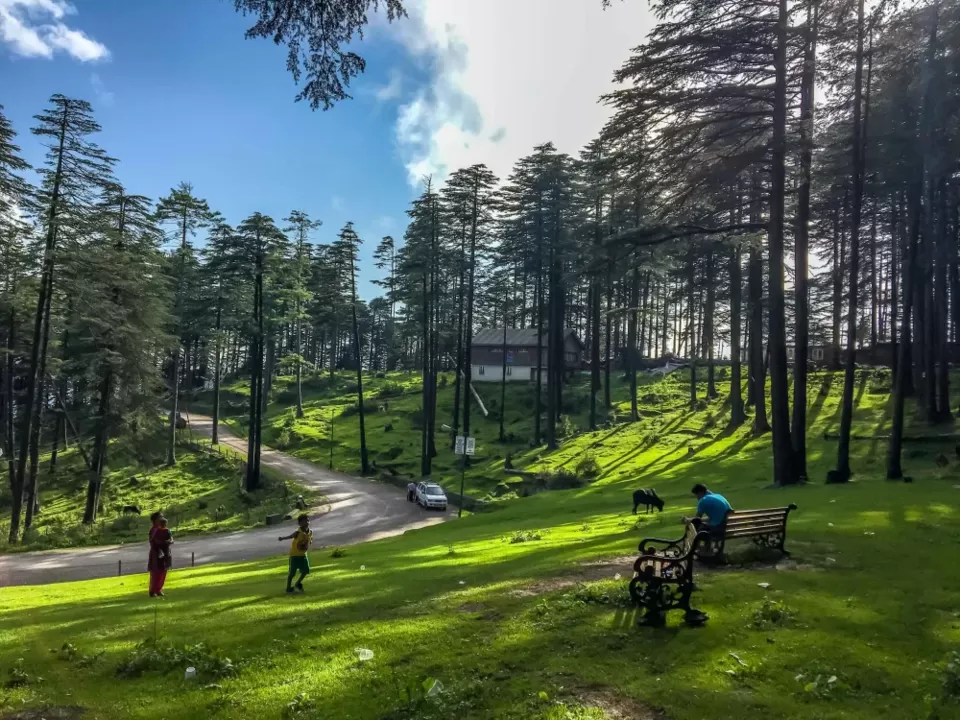 Photo of Patnitop by Nishtha Nath