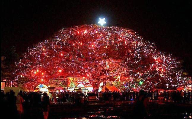 Photo of Cochin Carnival Juding Point, Njaliparambu Junction, Fort Kochi, Kochi, Kerala, India by Nishtha Nath