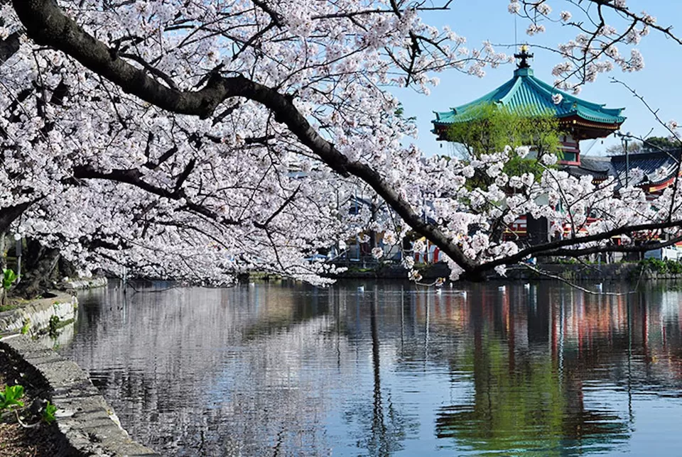 Photo of Machida, Tokyo, Japan by Nishtha Nath