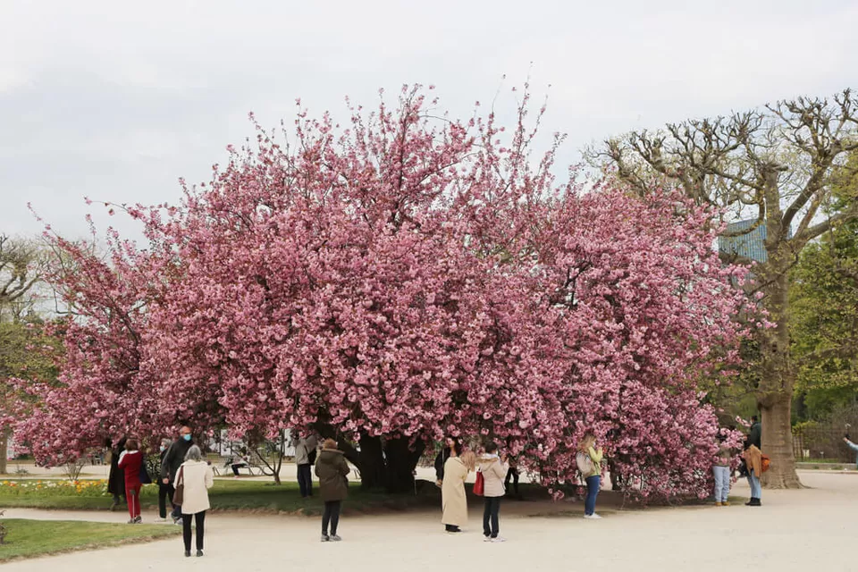Photo of Trocadéro, Paris, France by Nishtha Nath